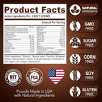 (2 Pack) Mushroom for Dogs - 340 Chews - Turkey Tail - Mushroom Supplement for Dogs - Lions Mane - Reishi - Immunity Support Multivitamin Vitamins - Joint Health - Energy - Gut - Skin - Made in USA