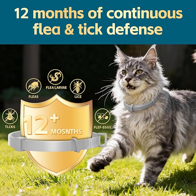 Flea and Tick Collar for Cats 2 Pack, 12 Months of Cat Flea Collar Protection 2 Collars Made with Premium Plant Based Essential Oil Waterproof and Natural Treatment Prevention Free Comb