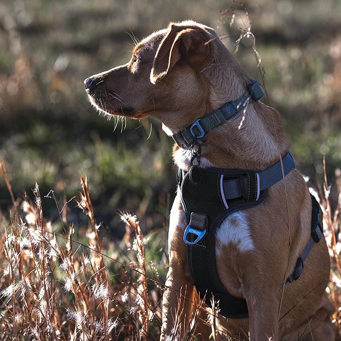 Embark Adventure Dog Harness, Reflective Trim No Pull Dog Harness for Large Dogs - Military Grade Nylon, Front Clip with Gel Lined Handle. Soft & Padded Puppy for Any Breed