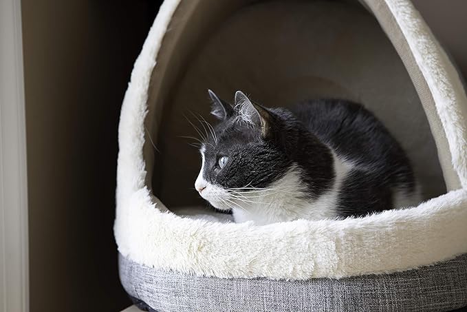 Cozy Cat Cave by Best Pet Supplies - Gray, 17 x 15 x 14