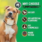 TummyWorks Probiotic 120 Soft Chews for Dogs All Ages - Supports Digestive Health, Relieves Diarrhea, Constipation, Good for Itching, Allergies, Yeast Infections. Added Digestive Enzymes, Made in USA