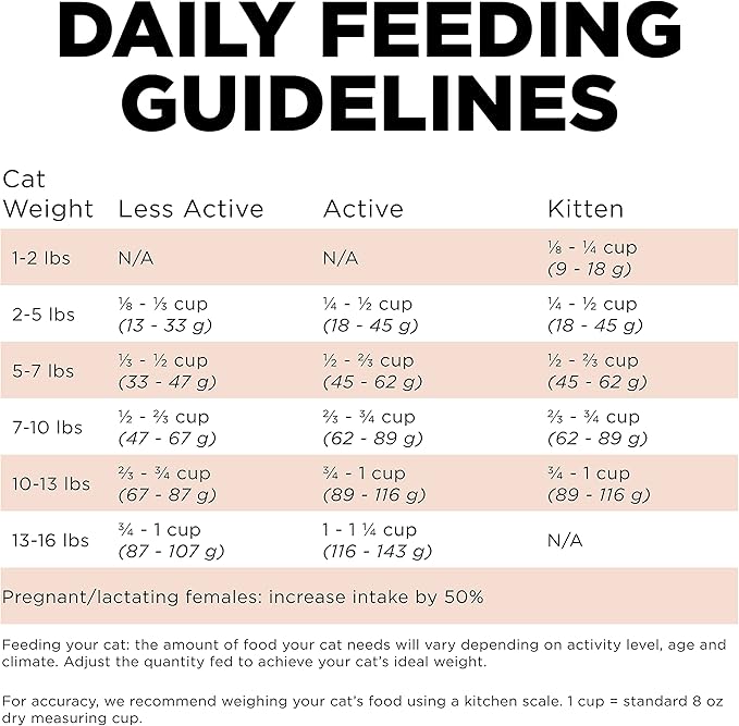 Go! Solutions Digestion + Gut Health, Dry Cat Food, Salmon Recipe with Ancient Grains, 3 lb Bag