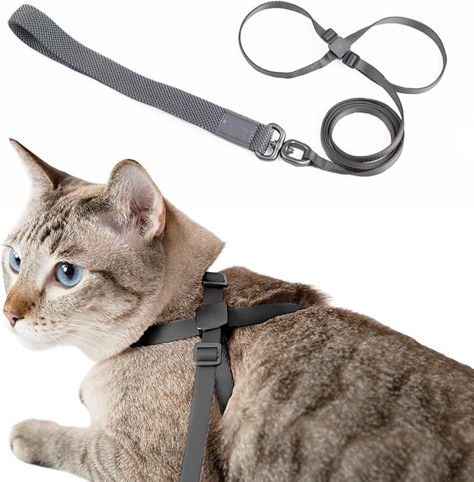 Cat Harness and Leash 2-in-1, Escape Proof Anti-Chocking Harness Adjustable Lighweight Leash for Walking Outoor Training for Kitten Small Large Cats Puppy, US IDA Bronze Award (Space Gray)