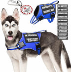 Service Dog Vest Harness+ID Tag+10 Patches,Metal Serivce Dog Tag&Reflective Emotional Support Dog Vest with Handle for Medium Dogs,Easy Put On/Off for Training/Walking/Everyday Blue M