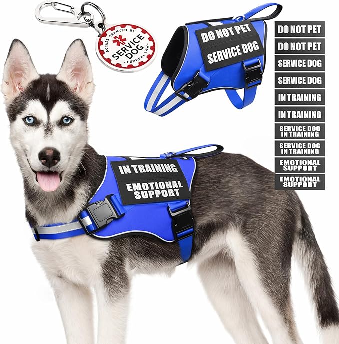 Service Dog Vest Harness+ID Tag+10 Patches,Metal Serivce Dog Tag&Reflective Emotional Support Dog Vest with Handle for Medium Dogs,Easy Put On/Off for Training/Walking/Everyday Blue M