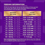 Wellness CORE+ Dry Dog Food with Freeze Dried Pieces, Large Breed, Wholesome Grains, High Protein, Natural, Chicken & Turkey Recipe, (20-Pound Bag)