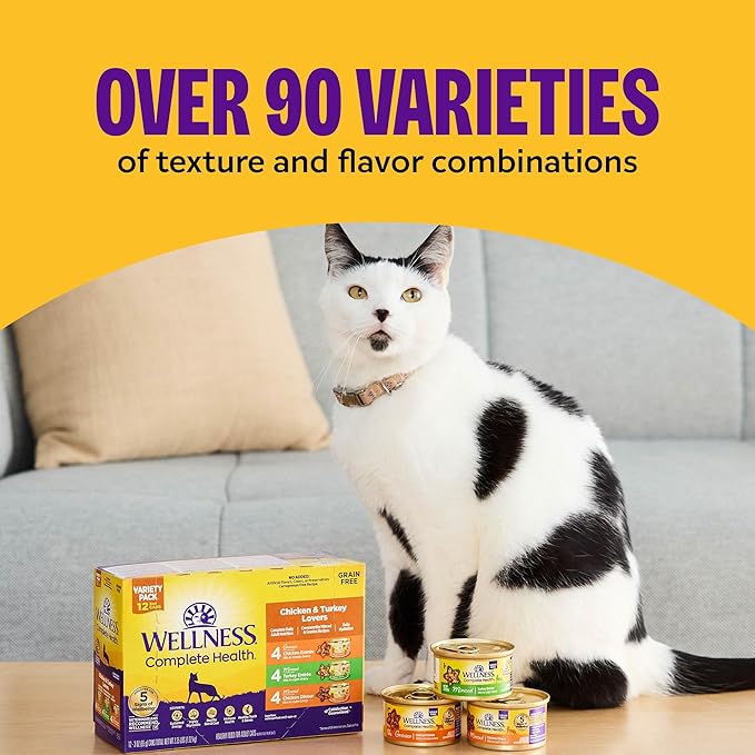 Wellness Complete Health Pate Adult Wet Cat Food, Natural, Protein-Rich, Grain Free, 3 Ounce, 24 Pack, (Turkey)
