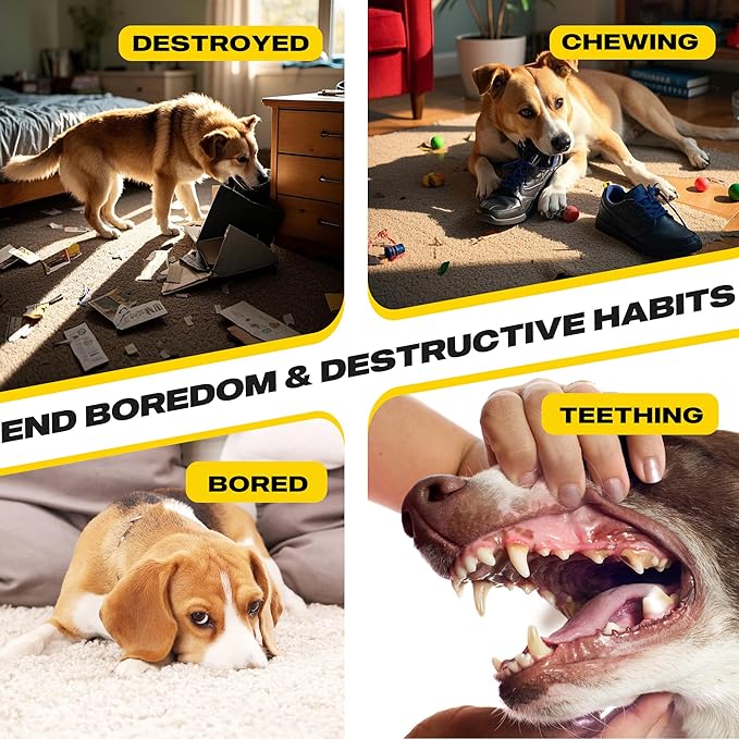 Fida Dog Rope Toys 4 Pack, Puppy Teething Sturdy Cotton Chew Tug Ropes Indoor/Outdoor, Exercise Interactive Tug O'War Toys Set for Boredom Small-Meidum Dogs