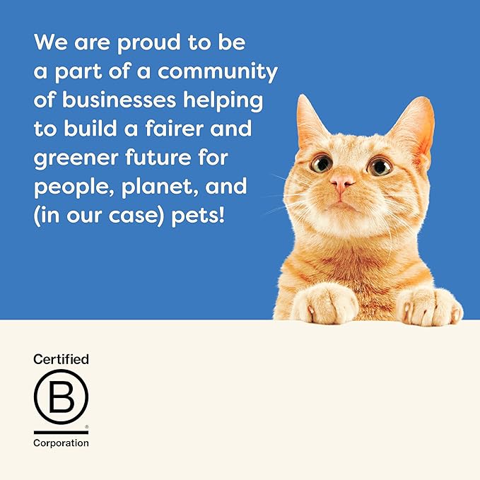 Applaws Natural Cat Treats, Grain-Free, Single Ingredient, Whole Protein Fillet, Healthy Snacks with No Artificial Additives (12 x 1.06oz Whole Tilapia Loin)