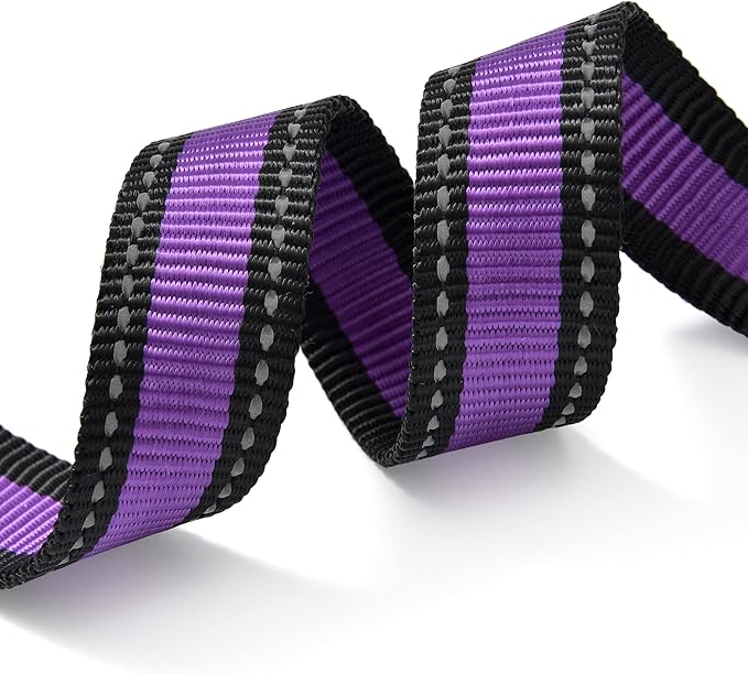 Mile High Life Dog Collar | Nylon Reflective Dog Collars | Light Weight Puppy Collars | Purple Dog Collars for Small Dogs (Purple, X-Small)