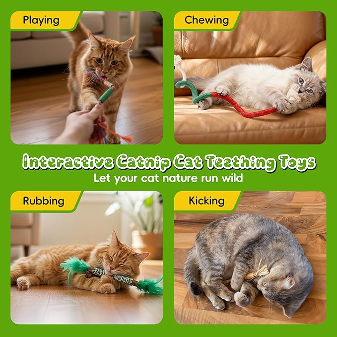 Silvervine Sticks for Cats & Cat Chew Rope Toy with Refillable Natural Catnip Bag for Teeth Cleaning, Interactive Cat Catnip Toys for Indoor Cats, Kitten Teething Toys for All Breeds (8Pcs)