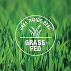 K9 Natural - Grain Free Freeze Dried Dog Food - Beef, 17.6 Ounce