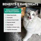 Northwest Naturals Raw Rewards Freeze-Dried Green Lipped Mussel Treats for Dogs and Cats - Bite Sized Pieces - Grain Free - 1 Ingredient - Healthy - Human Grade - All Natural - USA Made - 2 Oz