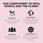 Go! Solutions Sensitivities Limited Ingredients, Grain-Free Dry Dog Food, Small Bites Salmon Recipe for Sensitive Stomach, 6 lb Bag