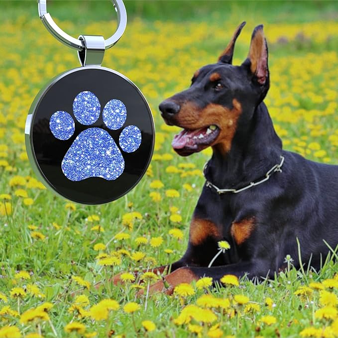 QR Dog Tags Personalized for Pets Custom Dog Tags Dog Name Tag QR Code Pet Tags Smart Pet ID Tags Free Online & Scan QR Receive Instant Pet Location Alert Email