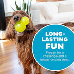 Outward Hound Double-Tuff Stuffable Dog Toy, Large 5-Inch Green - Treat Dispensing Chew Ball for Medium to Large Dogs, Interactive Puzzle for Enrichment & Slow Feeding