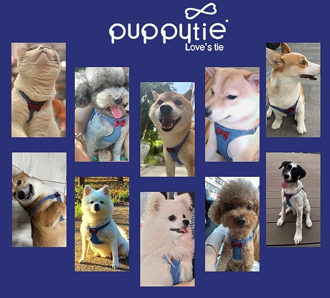 Puppytie No Pull Dog Harness with Multifunction Dog Leash,Soft Adjustable No Choke Escape Proof Pet Harness Vest for Medium Dogs,Plaid Blue,M