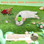 3 Pack Catnip Toy for Cats,Realistic Bug Cat Toys,Bell Sould Kitten Bite Kicker Toys, Interactive Kitty Toys for Christmas Cats Gift