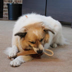 SPOT Dura-Fused Leather Retriever Dog Toy – Real Leather & Jute Fabric, Double-Stitched & Durable, Squeaky Interactive Tug Toy with Rope Handle for Moderate Chewers, Soft Stuffed Fetch Toy, 15in