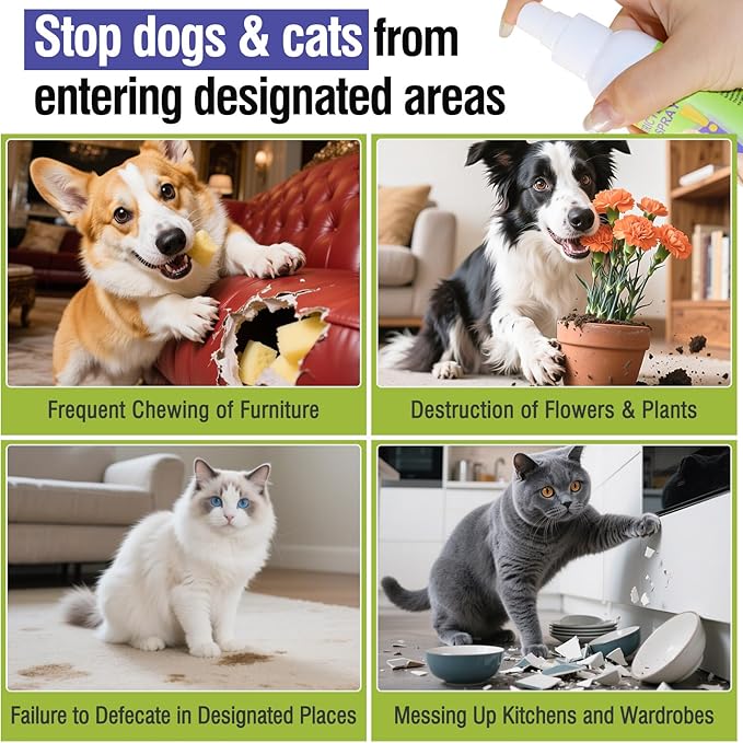 2PCS Pet Deterrent Spray - Stops Cat & Dog Peeing, Chewing, Scratching, Natural Citrus & Lemon Formula, Safe, Stain-Free Pee Corrector for Furniture, Shoes Indoor & Outdoor Training (4oz)