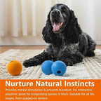 Amazon Basics Dog Toys, Interactive Fetch Rubber Balls, (Pack of 3), 2.5 inch, Blue, Orange