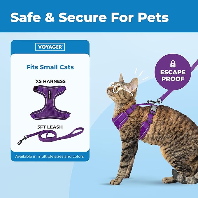 Voyager Escape-Proof Step-in Lock Cat Harness & 5ft Neoprene-Handle Leash Set All-Weather Mesh with Reflective Stitching for Small to Large Cats by Best Pet Supplies, Purple (327), XS
