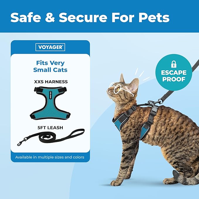 Voyager Escape-Proof Step-in Lock Cat Harness & 5ft Neoprene-Handle Leash Set All-Weather Mesh with Reflective Stitching for Small to Large Cats by Best Pet Supplies, Black Trim-Turquoise (327), XXS