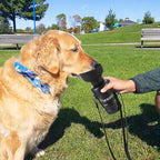 Lesotc Dog Water Bottle, Portable Water Dispenser with Water Bowl, Leak Proof Pet Travel Squeeze Bottle, Puppy Essentials Dog Stuff Accessories for Outdoor Walking, Hiking, Camping Doggie Gift