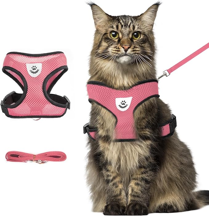 shudyear Summer cat Chest Harness and Leash, Anti-Escape Adjustable Soft mesh cat Leash and Chest Harness Set for All Types of Cats cat Vests (Size XL,Pink)