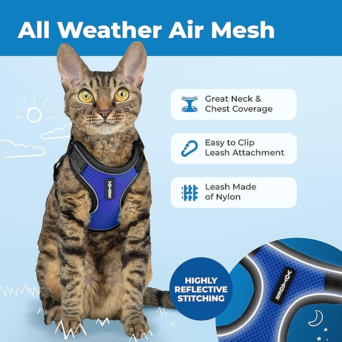 Voyager Escape-Proof Step-In Lock Cat Harness & 5ft Neoprene-Handle Leash Set All-Weather Mesh with Reflective Stitching For Small to Large Cats by Best Pet Supplies, Black Trim-Royal Blue (327), XXXS