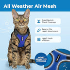 Voyager Escape-Proof Step-in Lock Cat Harness & 5ft Neoprene-Handle Leash Set All-Weather Mesh with Reflective Stitching for Small to Large Cats by Best Pet Supplies, Black Trim-Royal Blue (327), XS