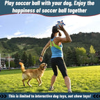 QDAN Dog Toys Soccer Ball with Straps, Herding Balls for Dogs, Interactive Toy for Tug of War, Durable Dog Balls for Medium Large Dogs (8 Inch)
