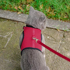 PUPTECK Soft Mesh Cat Vest Harness and Leash Set Puppy Padded Pet Harnesses Escape Proof for Cats Small Dogs, Red Large