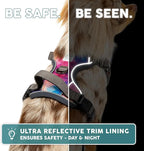 Embark Adventure Dog Harness, Reflective Trim No Pull Dog Harnesses for Small Sized Dogs - Military Grade Nylon, Front Clip with Gel Lined Handle.