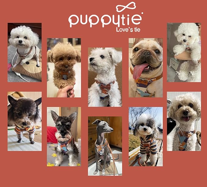 Puppytie No Pull Small Dog Harness with Multifunction Dog Leash,Lightweight Soft Adjustable No Choke Escape Proof Pet Harness Vest Pet Harness Vest,Suede Bow Brown,S