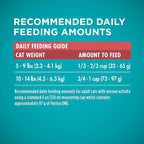 Purina ONE Natural Dry Cat Food, Tender Selects Blend with Real Salmon - 22 lb. Bag