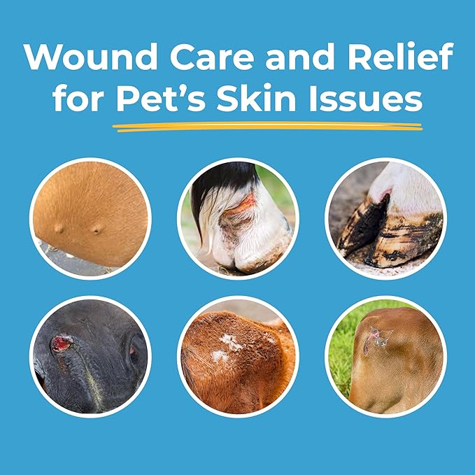 Dog Wound Care Gel - Hot Spot Gel Solution for Dogs and Cats - Safe If Licked, Odorless Silver Hydrogel Ointment for Pets Cuts, Burns, Scratches, Sores and Skin Concerns - 4.0 Oz