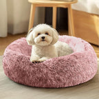 JOLLYVOGUE Dog & Cat Bed, Calming Anti-Anxiety Pet Bed for Small Dogs, Fluffy Donut Cushion for Small and Medium Pets (20")
