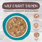 Weruva Classic Cat Stews!, Stew's Clues with Turkey, Chicken & Salmon in Gravy, 5.5oz Can (Pack of 8)