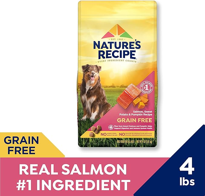 Nature′s Recipe Grain Free Salmon, Sweet Potato & Pumpkin Recipe Dry Dog Food, 4 lb. Bag (Pack of 2)