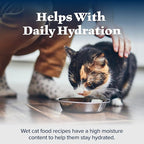 Blue Buffalo Wilderness Natural High-Protein Grain-Free Wet Food for Adult Cats, Salmon Paté, 5.5-oz. Cans, 24 Count