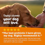Zesty Paws Probiotics for Dogs - Digestive Enzymes for Gut Flora, Digestive Health, Diarrhea & Bowel Support - Clinically Studied DE111 - Dog Supplement for Pet Immune System – Pumpkin – Pack of 2