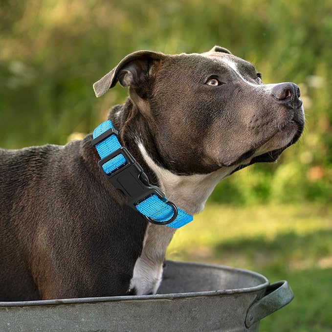 Mile High Life Dog Collar | Nylon Reflective Dog Collars | Light Weight Puppy Collars | Dark Blue Dog Collars for Large Dogs (Dark Blue, Large)