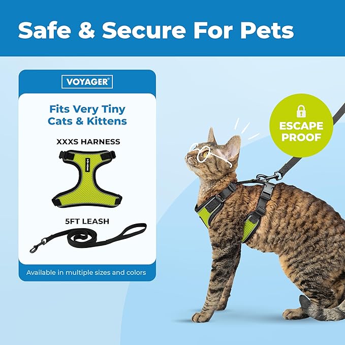 Voyager Escape-Proof Step-in Lock Cat Harness & 5ft Neoprene-Handle Leash Set All-Weather Mesh with Reflective Stitching for Small to Large Cats by Best Pet Supplies, Black Trim-Lime (327), XXXS