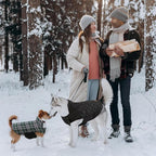 Kuoser Warm Dog Coat, Waterproof Dog Jacket for Extra Large Dogs, Adjustable Durable XXL Doggie Winter Coat Reversible Puppy Cold Weather Apparel from Small to Large Breed, Green XXL