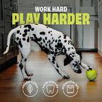 Benebone Pawbler - Natural Rubber Interactive Enrichment Treat and Kibble Dispensing Dog Toy – Great for Boredom - Medium/Large