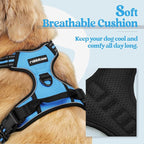 rabbitgoo Dog Harness No Pull with 2 Leash Clips, Adjustable Soft Padded, Reflective Oxford No Choke Pet Vest with Easy Control Handle for Medium Sized Dogs, Blue, M