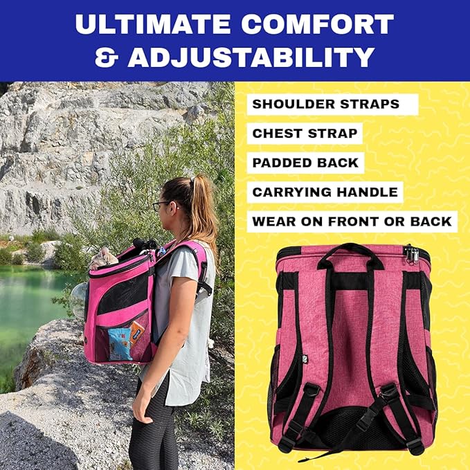 Fat Cat Backpack Carrier - Airline Approved Cat Carrier with Space Capsule Bubble for for Small Cats, Kitten - Premium Deep Rose Pink Cat Carrier Backpack for Outdoor, Travel, Hiking, Pet Supplies