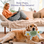 Turtle Squeaky Dog Toy - New 2025 Indestructible Tug of War Crinkle Dog Toy for Aggressive Chewers, Tough Large Breed Interactive Trianing Fun to Keep Them Busy