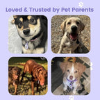 Dog ID Tag with QR Code & NFC, Silent Silicone Dog Name Tags Personalized for Pets- Scan QR for Instant Location Alert, Emergency Contact and Modifiable Pet Profile (Purple)